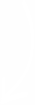 A white arrow, as you can see...